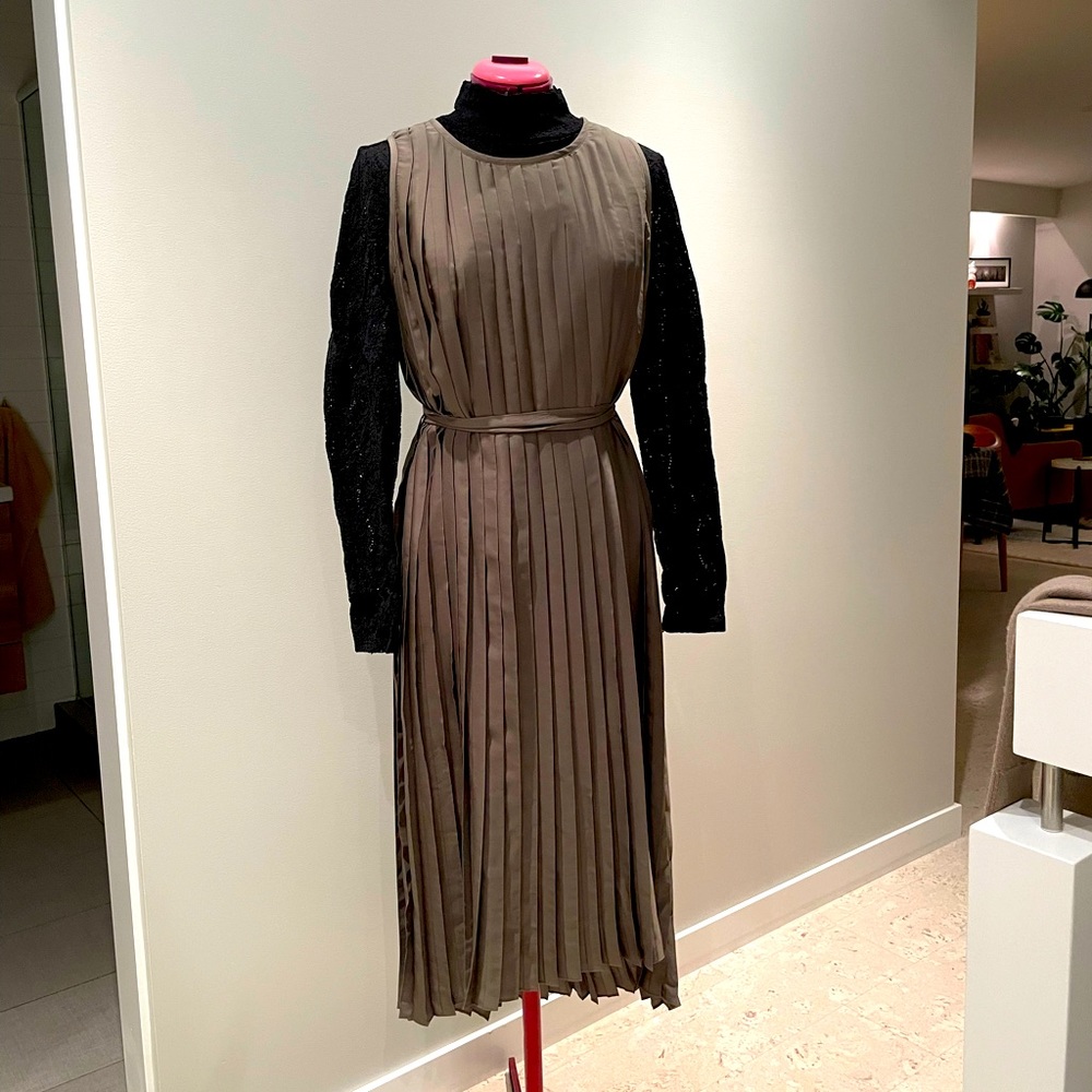 Elk pleated high low dress.